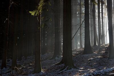 Wintersonne